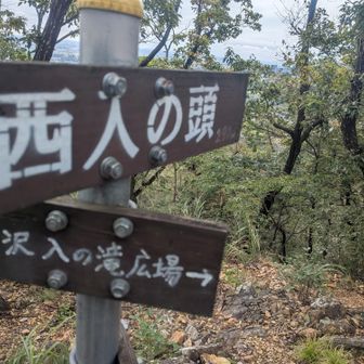 西入の頭