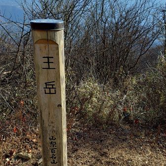 王岳に到着👑
山梨百名山58座目🎉