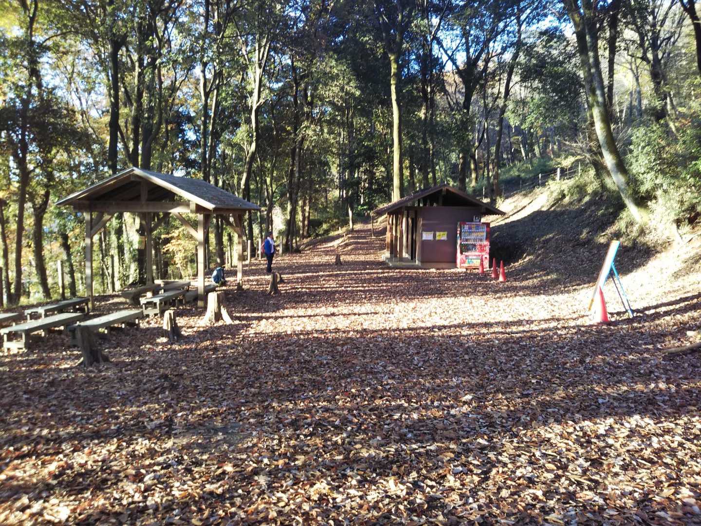 日和田山までは、散歩程度の距離らしい…