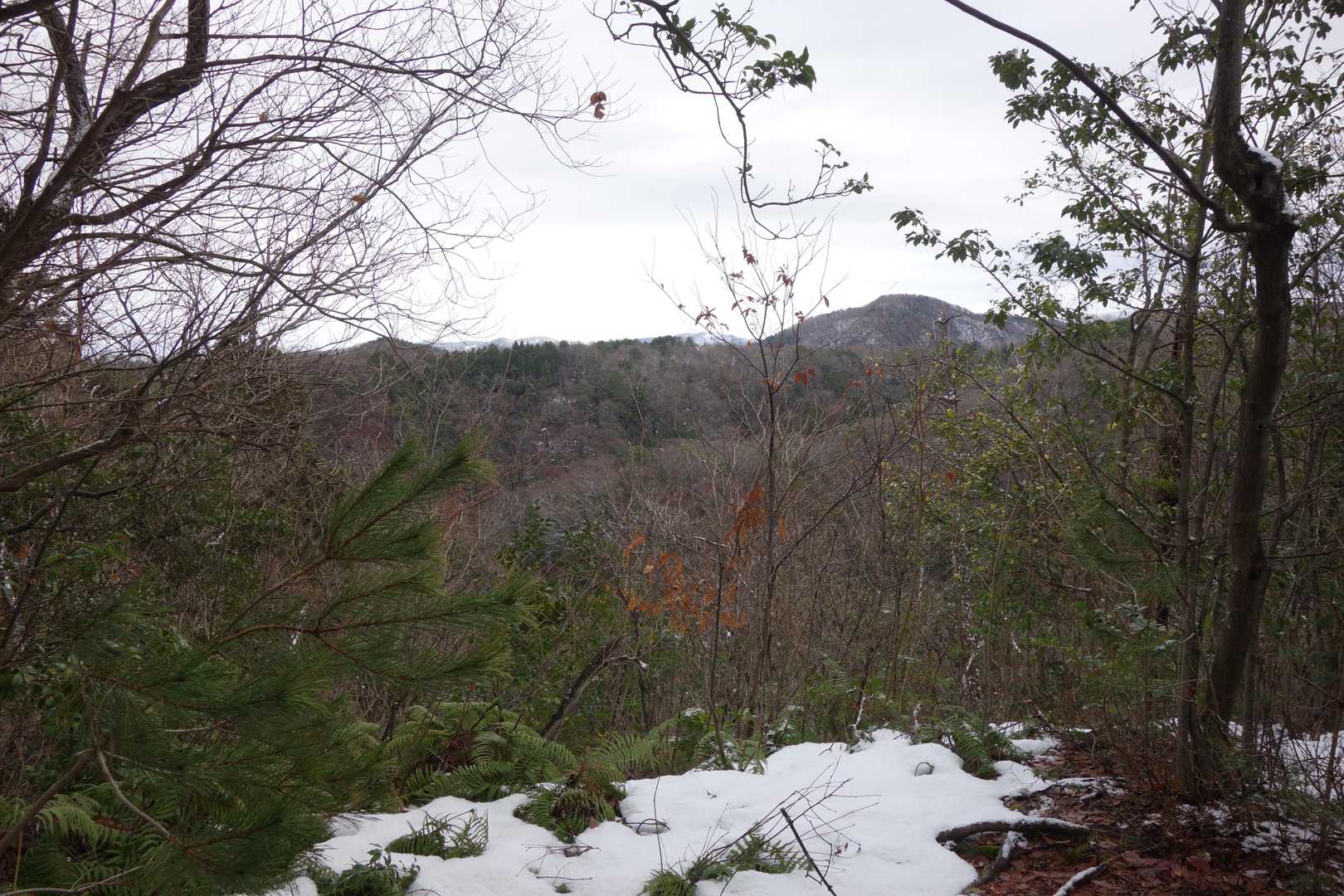 遣水観音山-遣水山観音堂 周回コースの写真