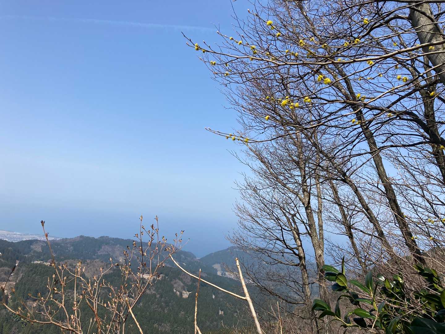 開けて日本海が霞ながらもキレイ✨
右上の黄色いのは〜
