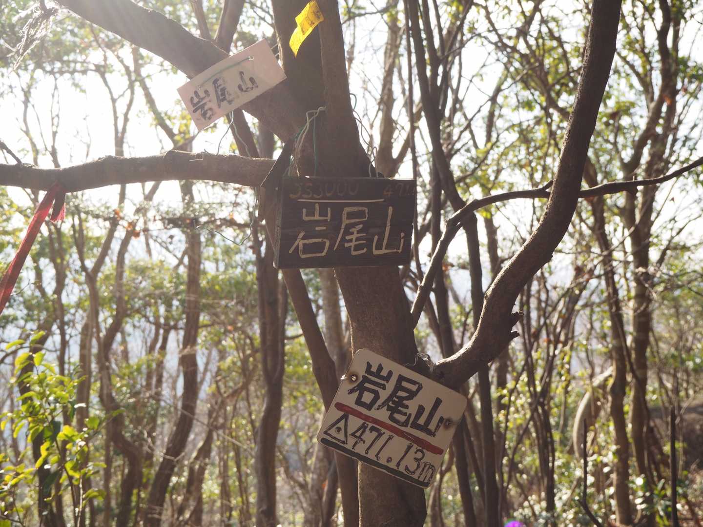 岩尾山山頂‼️プレートがいーっぱい😊