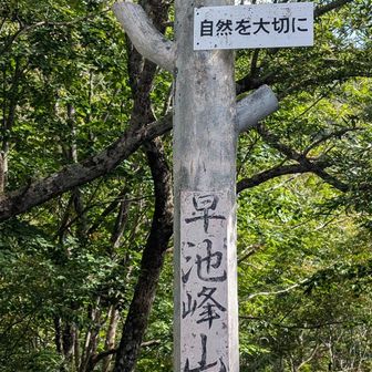 さぁ出発