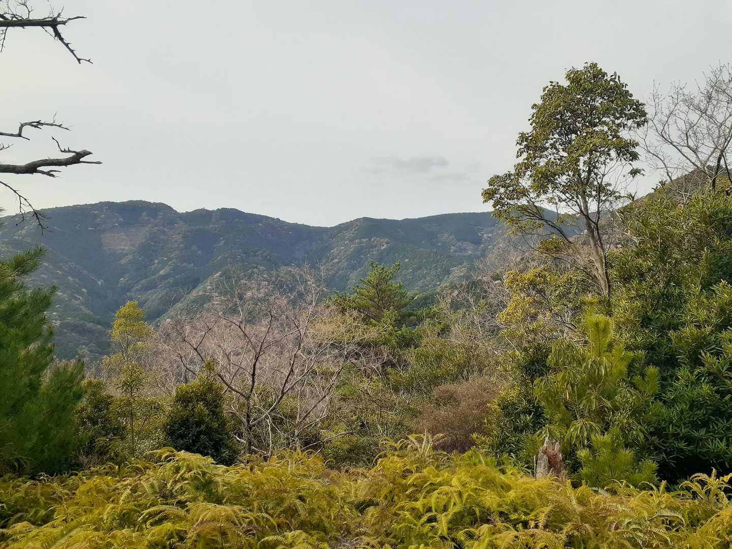 ここからぐるっと回って
向こうの石鎚山の方へ縦走します🚶