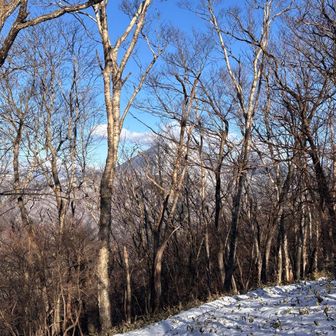 森越しに男体山が見える🙏