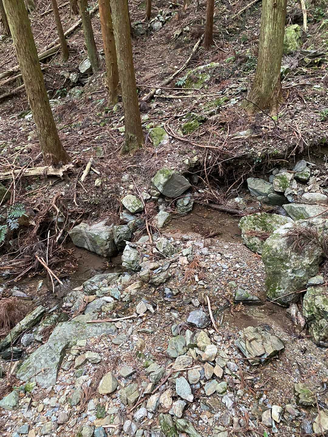 国束山 往復コースの写真
