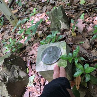 最後に澄水山登頂🙌
こちらは暫定的なピーク△
本当のピークは📡航空法により立ち入り禁止です🚧