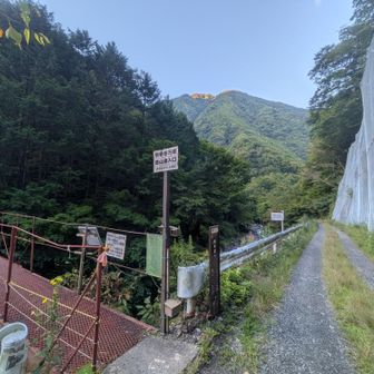 易老渡までは長いけど傾斜もほとんど無い林道