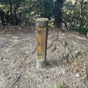 本丸　山頂標識は見つける事出来ませんでした💦城山になります。
