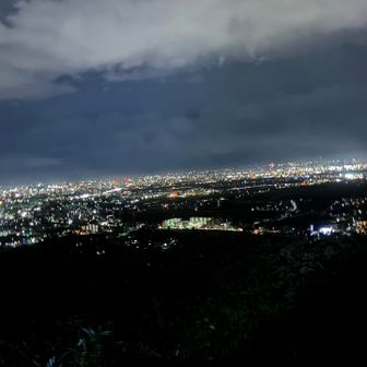 城山展望台から富山市街地