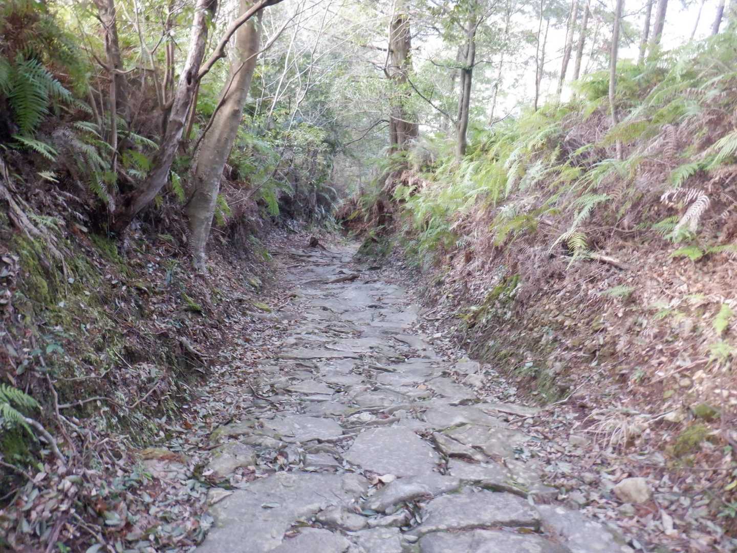馬越峠登り口-馬越峠-天狗倉山-天狗倉山東峰-水地峠-水地 縦走コースの写真