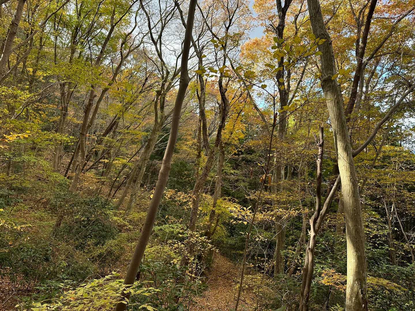 岩瀬駅-御嶽山-雨引山-燕山-加波山-一本杉峠-足尾山-き 縦走コースの写真