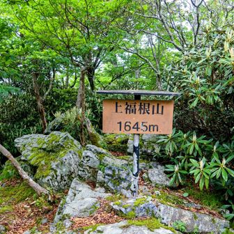 看板新しい✨️