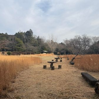 意外にもベンチが多いのね