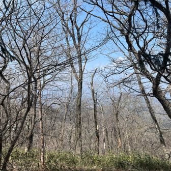 今更だけど青麻山からの展望
あんまり良くないね