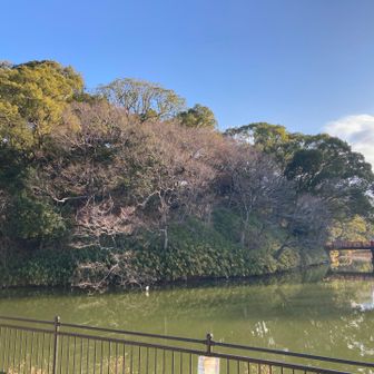 すぐに茶臼山が見えてきました