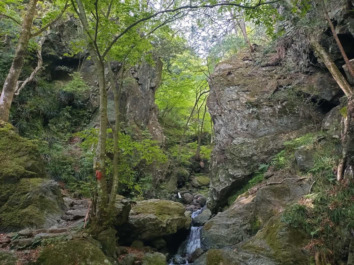 龍泉寺登山口-白谷沢登山口-権次入峠-棒ノ嶺-黒山-逆川ノ 縦走コースの写真