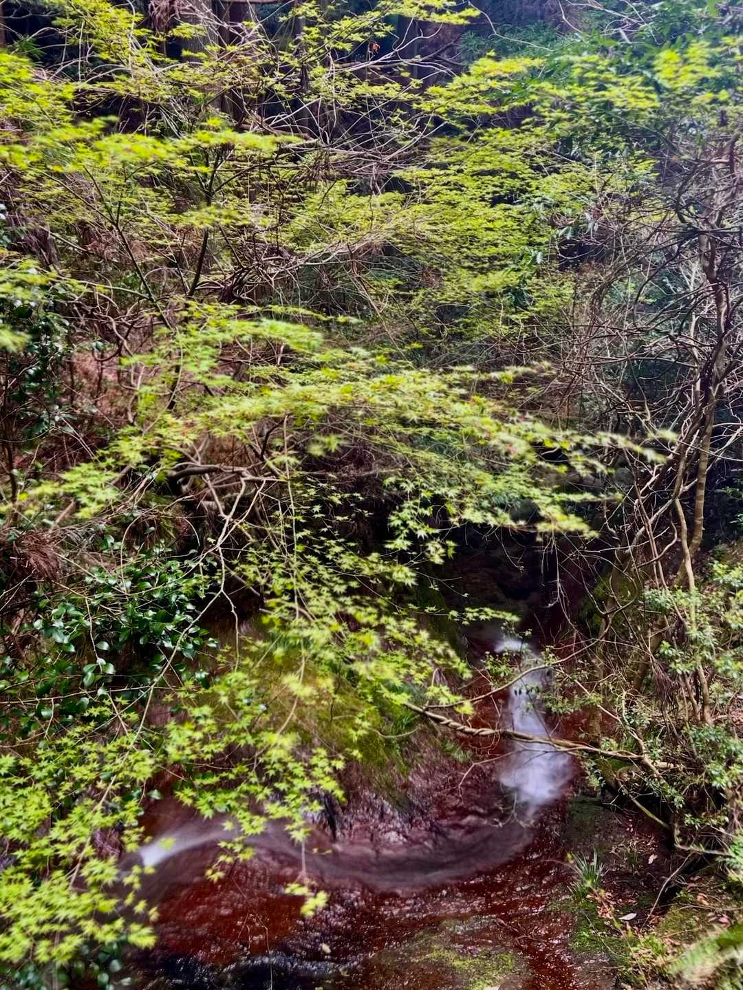赤滝