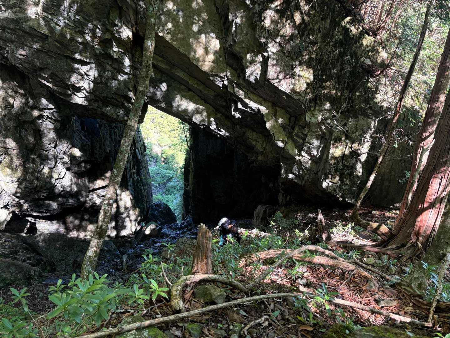 熊渡登山口 周回コースの写真