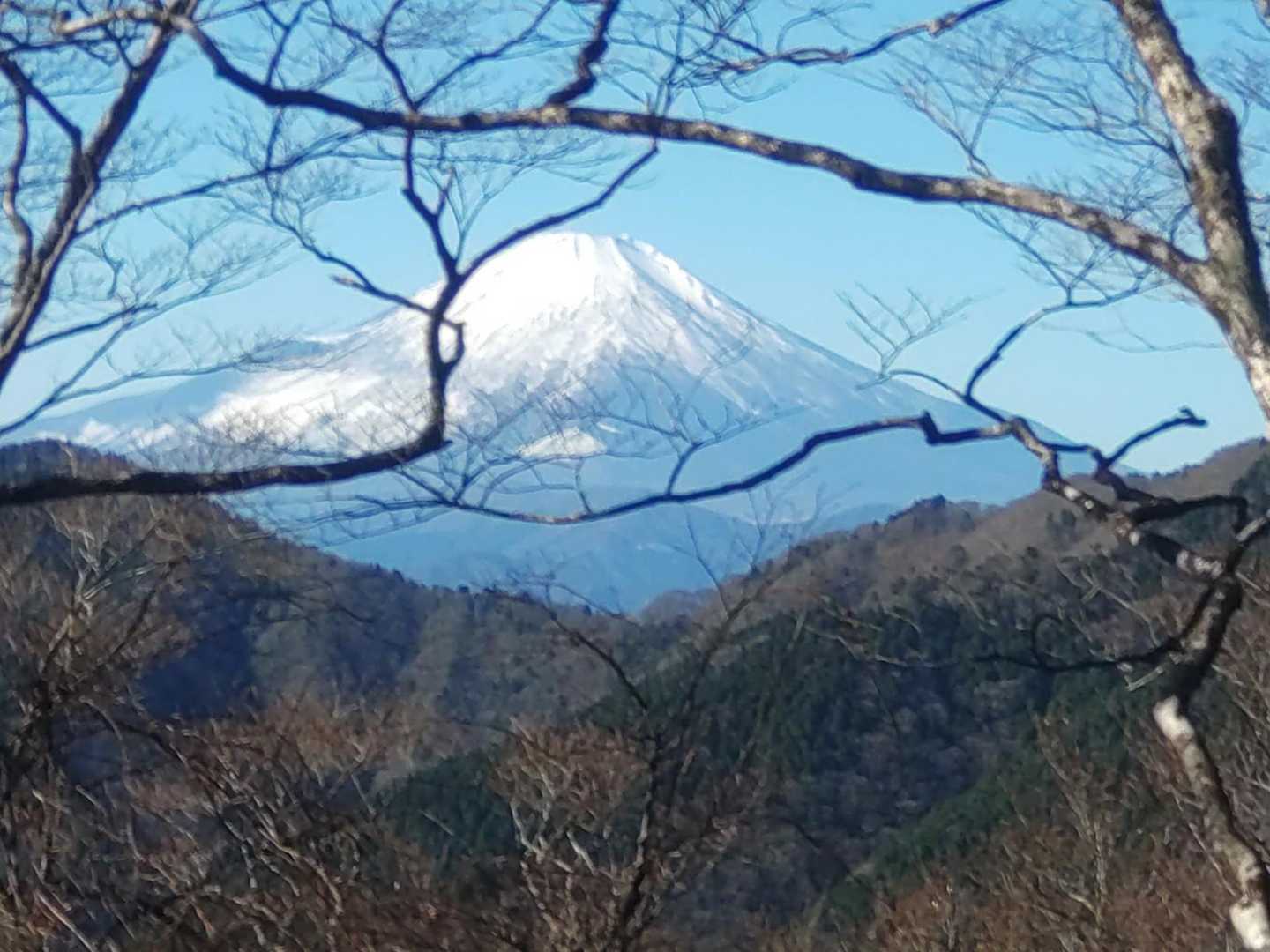 後沢乗越-鍋割山-小丸 周回コースの写真