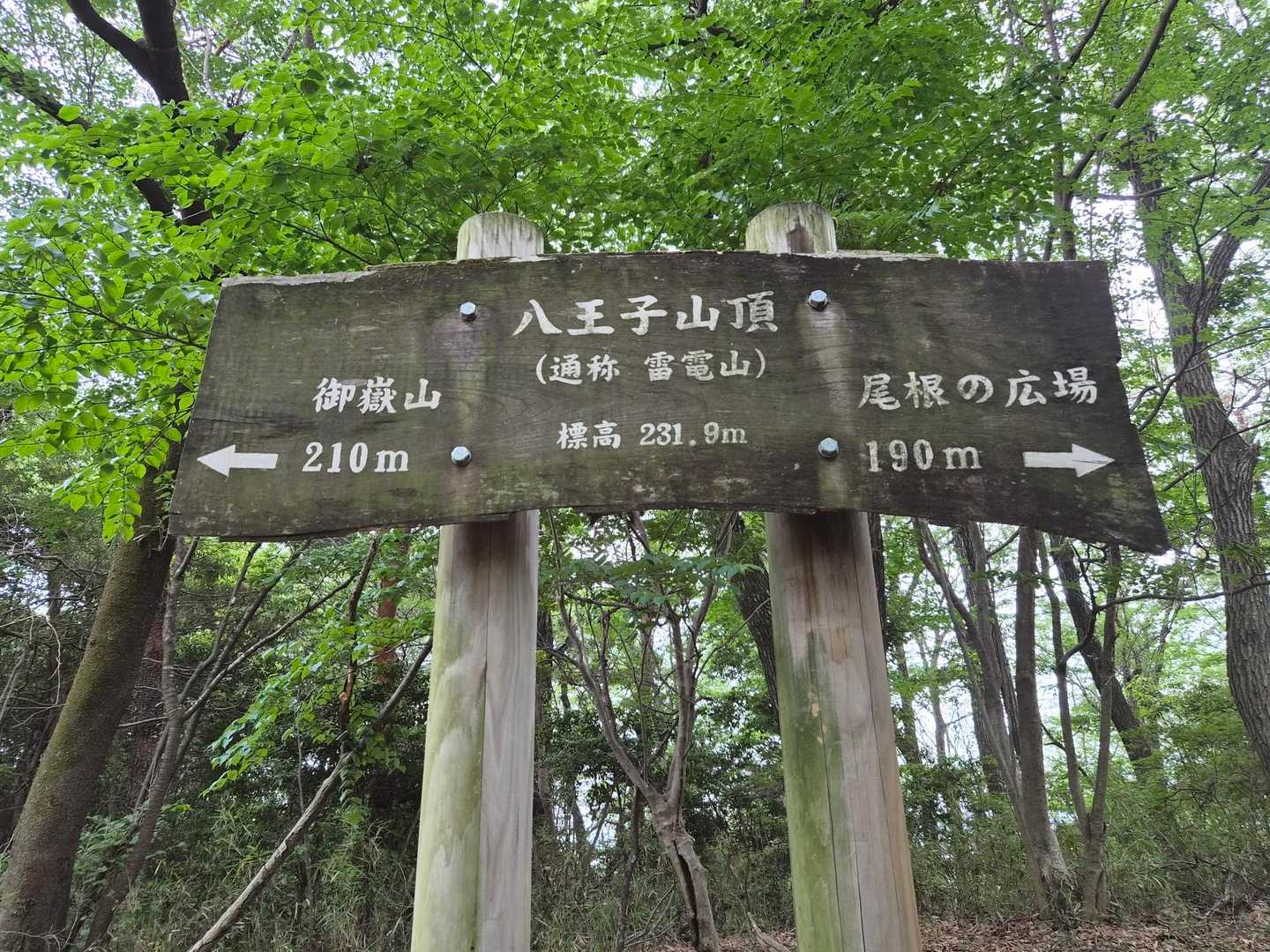 一座目🐴