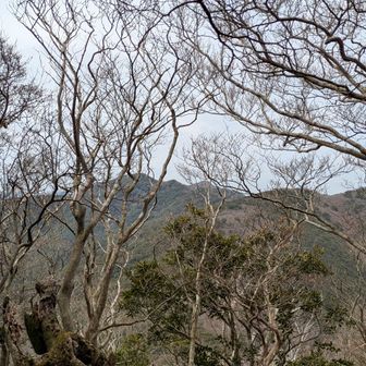 今日の登った山々が見える