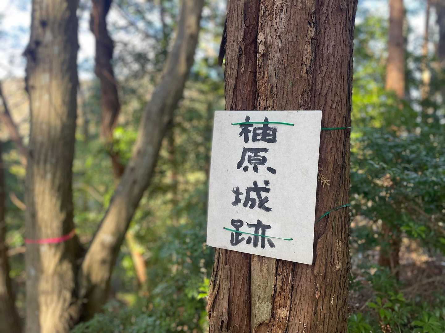 ここまで一気に登る
