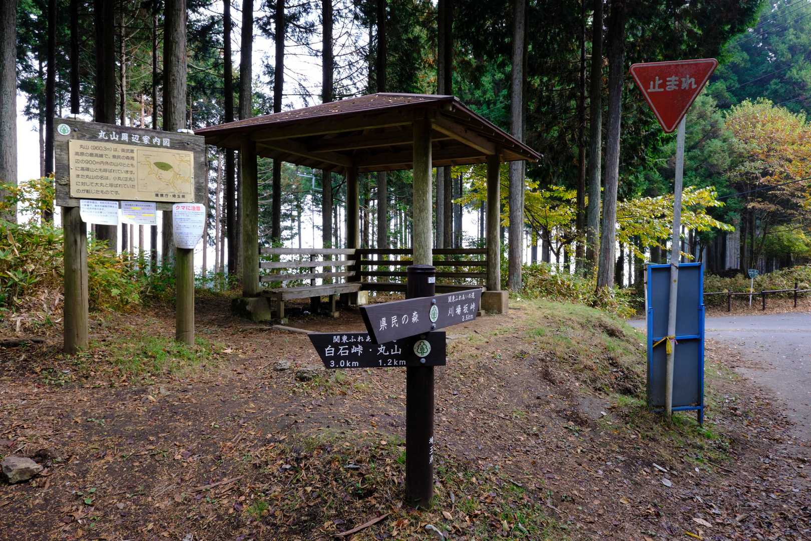 先程の急坂を登りきると、『大野峠』というチェックポイントにていったん車道を横切る形となる。同所にはあずま屋も置かれ、休憩スポットとなっている。