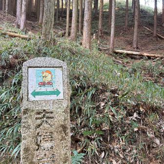 夫婦岩🪨見てこよか