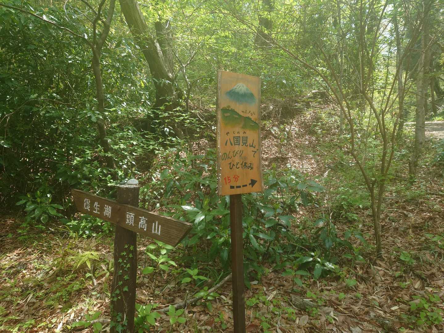 八国見山は今回パス。