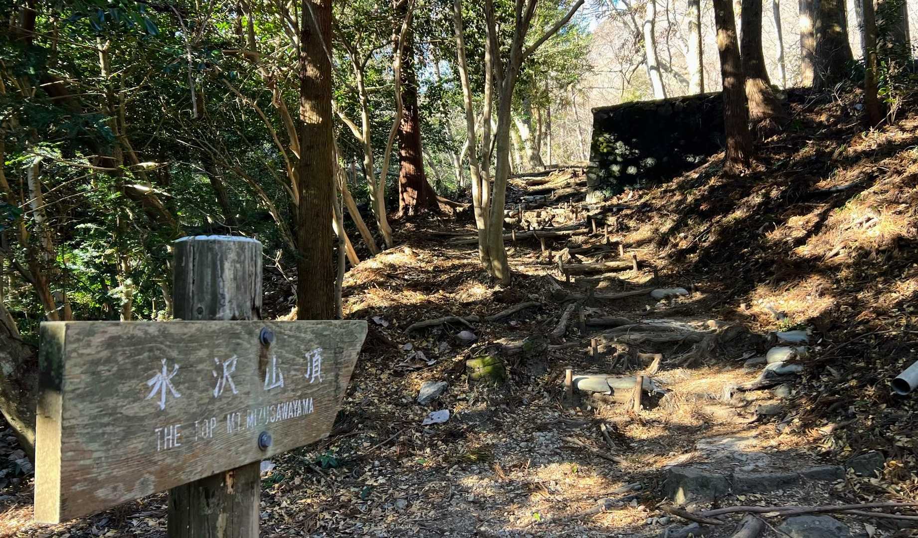 ここから山道