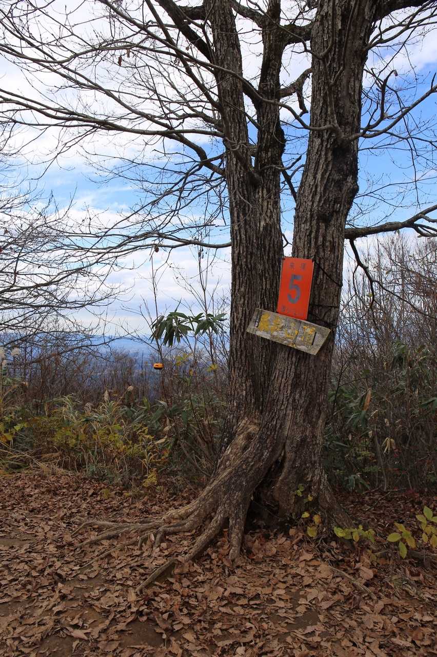 お弁当食べて満足したようなので、緊張の下山の途に着きます💦