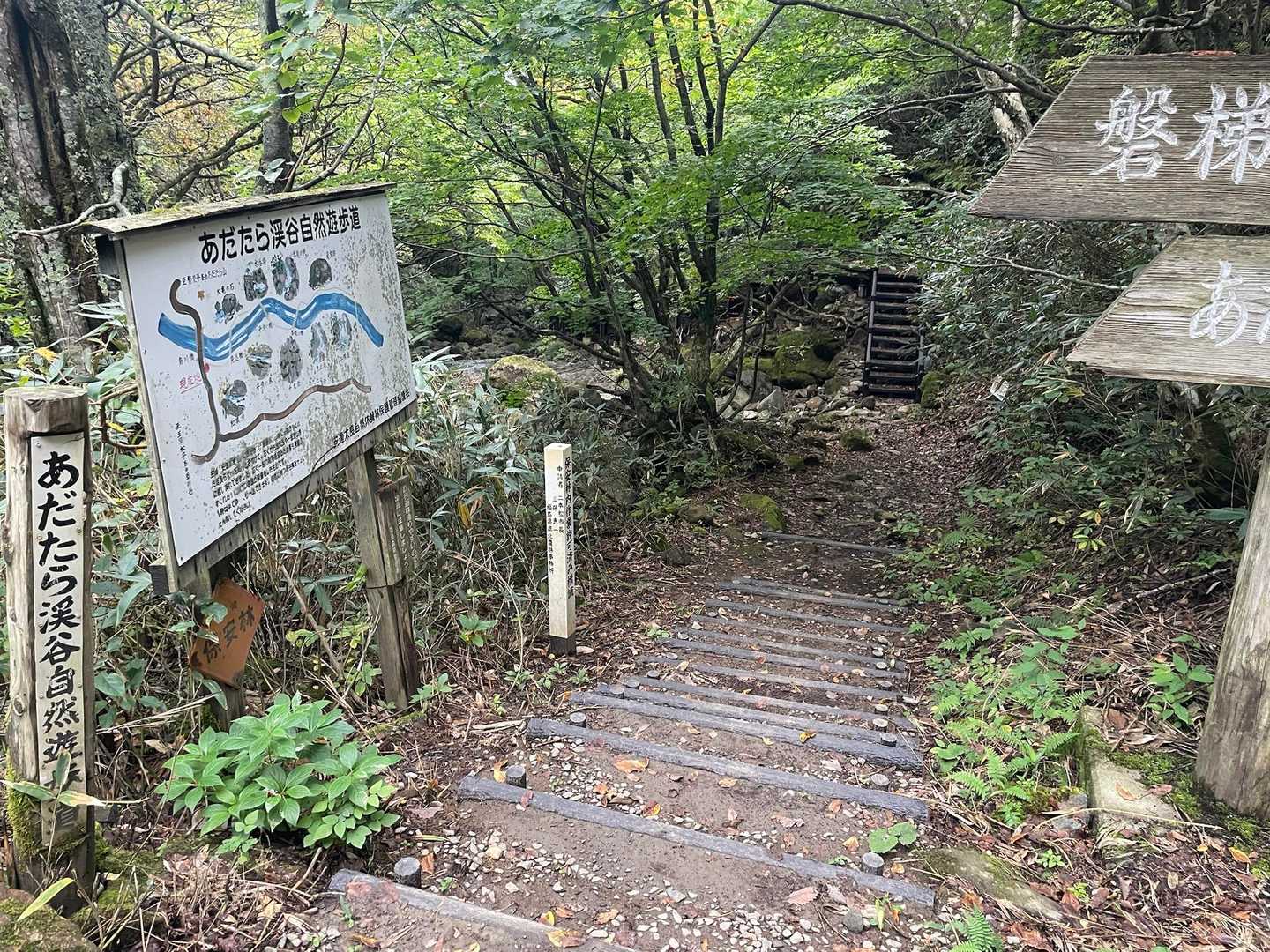この辺りは気持ち良いですねー♪
