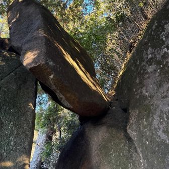 落ちてきたら怖いよー