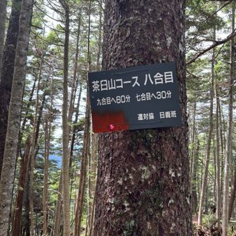 人居ないし、やけに長いなぁ
