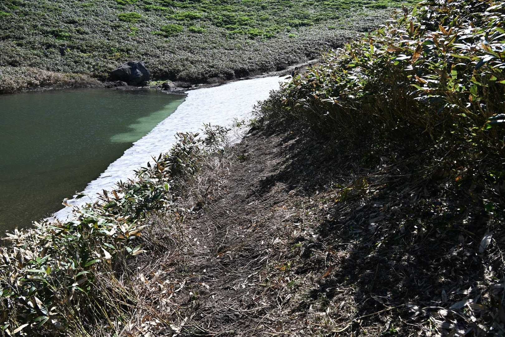 私は揺れる木道を避けて仮払いされた迂回路を