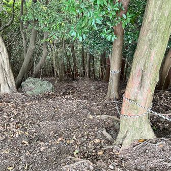 下山は山頂標識の横から急な下り、暫くはロープがあります。