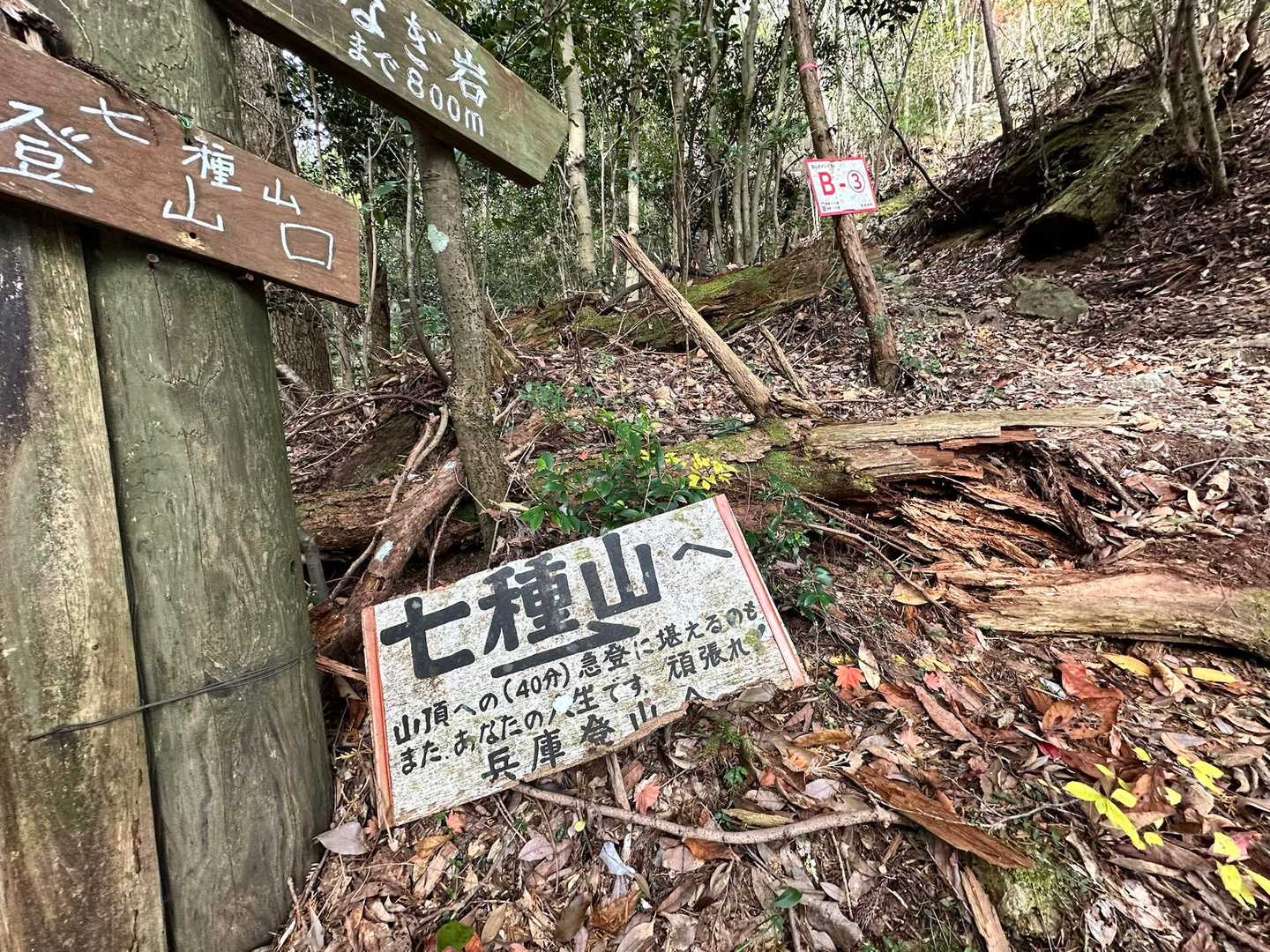 なんだかんだ優しい息子は