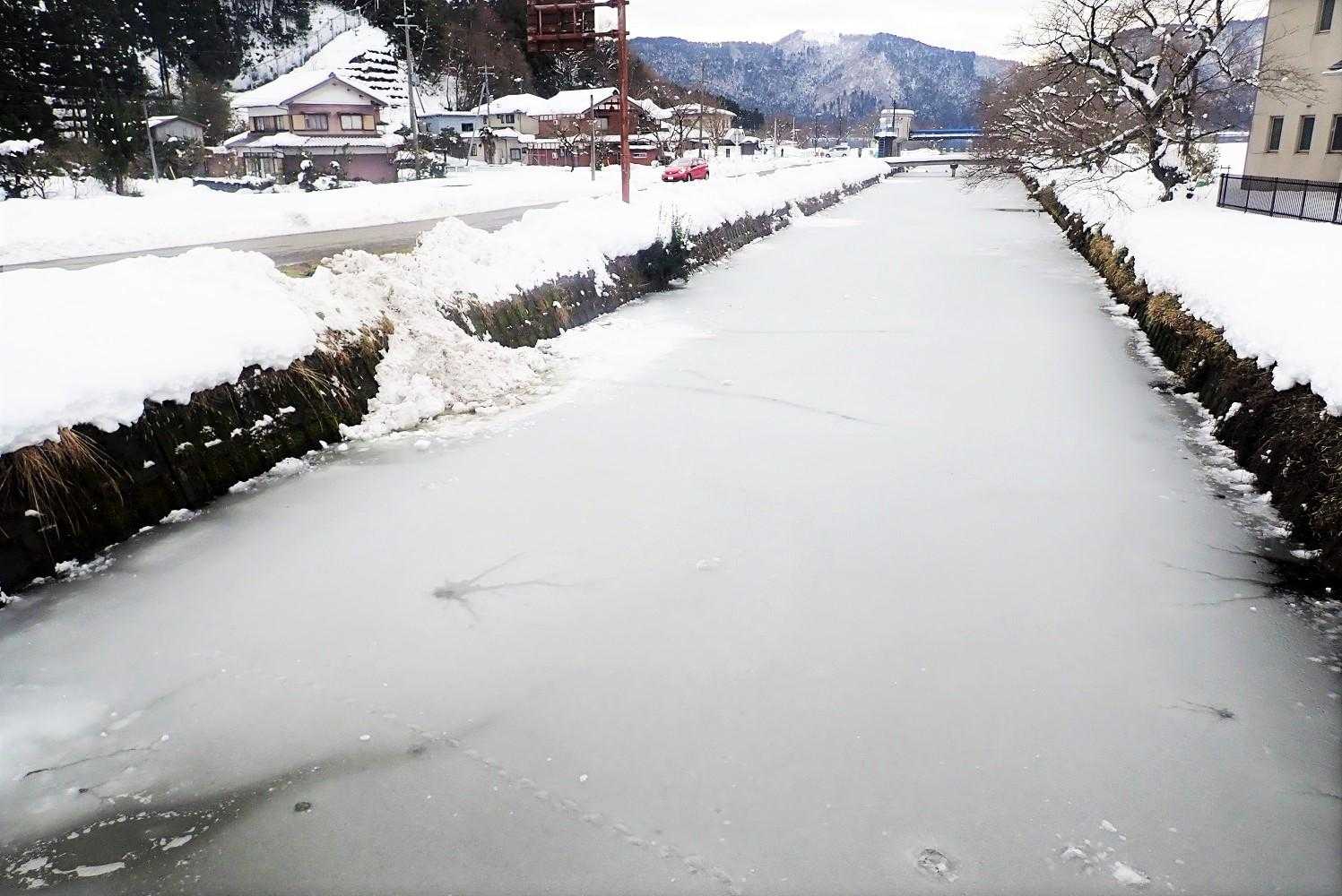 皮が凍っていて鳥がちょこちょこ歩いて遊んでいました。