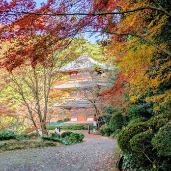 木造の三重塔に戻りました。