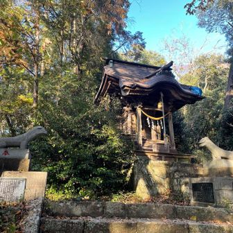 陰陽神社⛩️

社殿に到着
