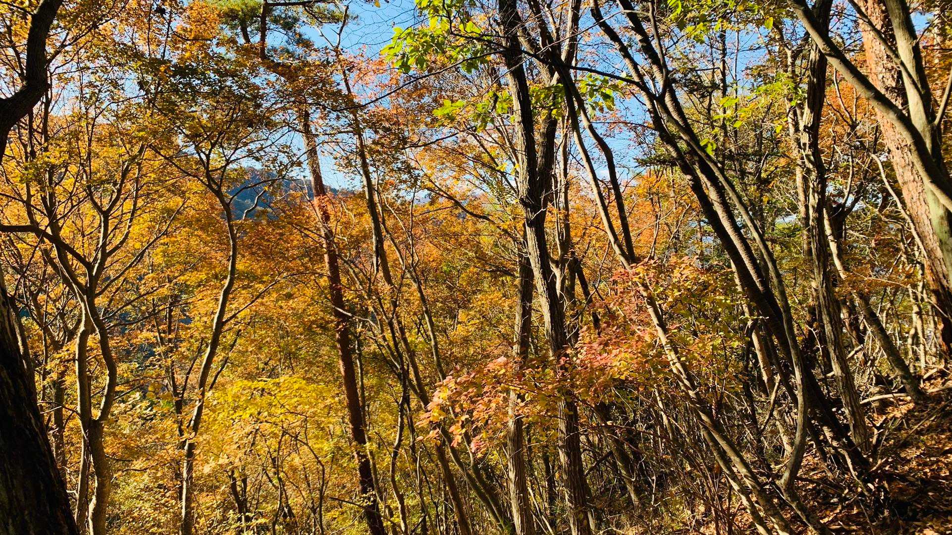御前山へ進みます。