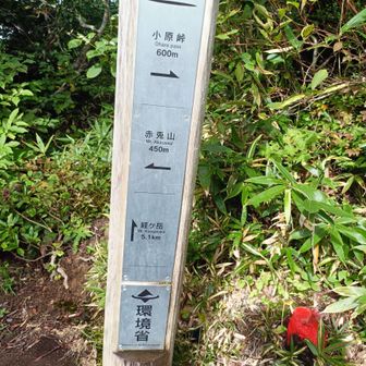 赤兎山まで、あと450ｍ。