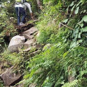 土鍋山への最後の登りは少し危険でした