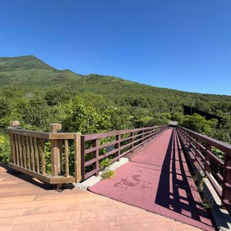 下山！おつかれ山っした！

車に予備の水は置いていたんですが、インフォメーションセンターに✨自販機あるんですね🤩
次はもっと有効活用します笑