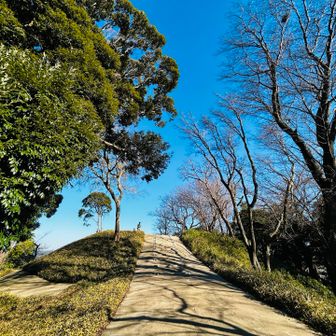 前方後円墳に上ってみる👆