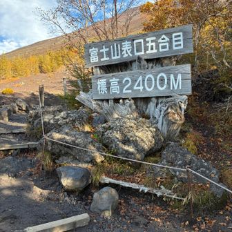 良い天気でよかった🌞