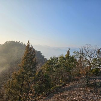 霞んでモヤモヤしたのも綺麗やな✨