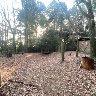 路傍休憩地
山中のトイレはありがたいですが。真っ暗でとても怖い…