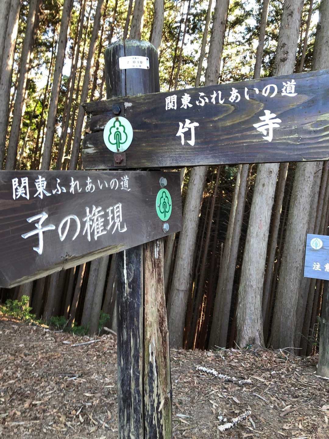 竹寺-豆口峠-子ノ山 往復コースの写真